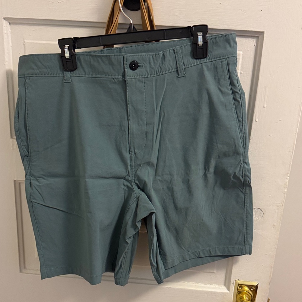 The North Face Men's Teal Flat Front Shorts